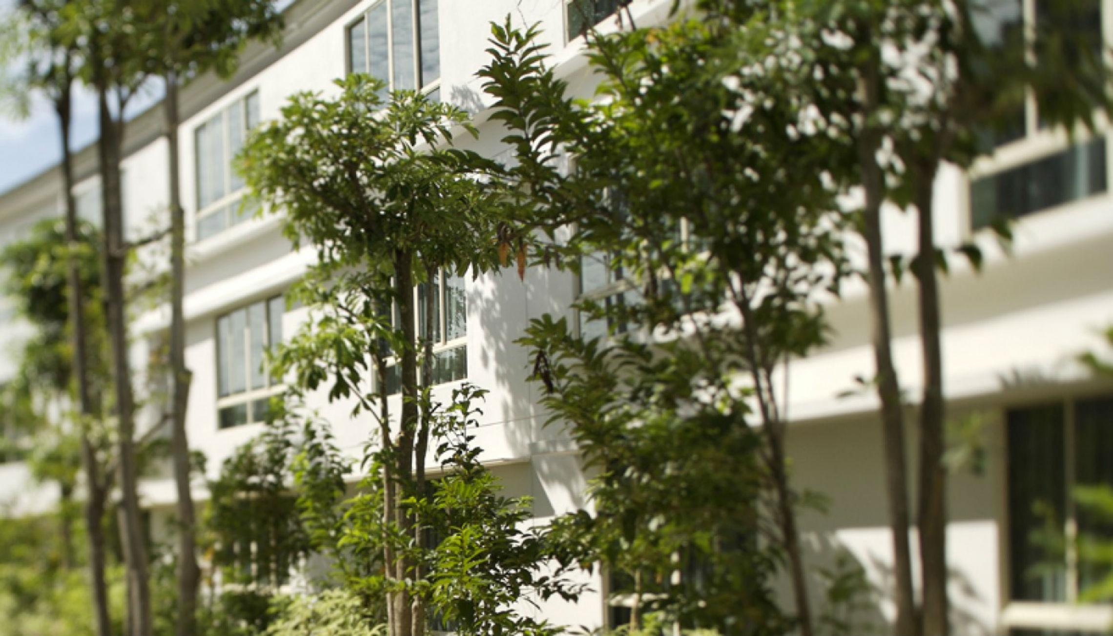 Amara Sanctuary Resort Sentosa Singapura Luaran gambar